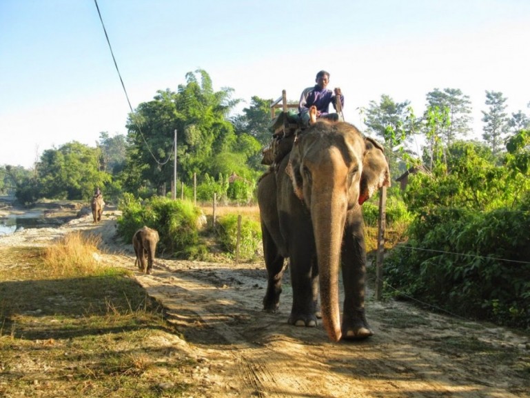 Bardiya National Park wildlife habitat