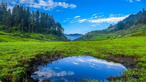 Khaptad meadows and forest landscape