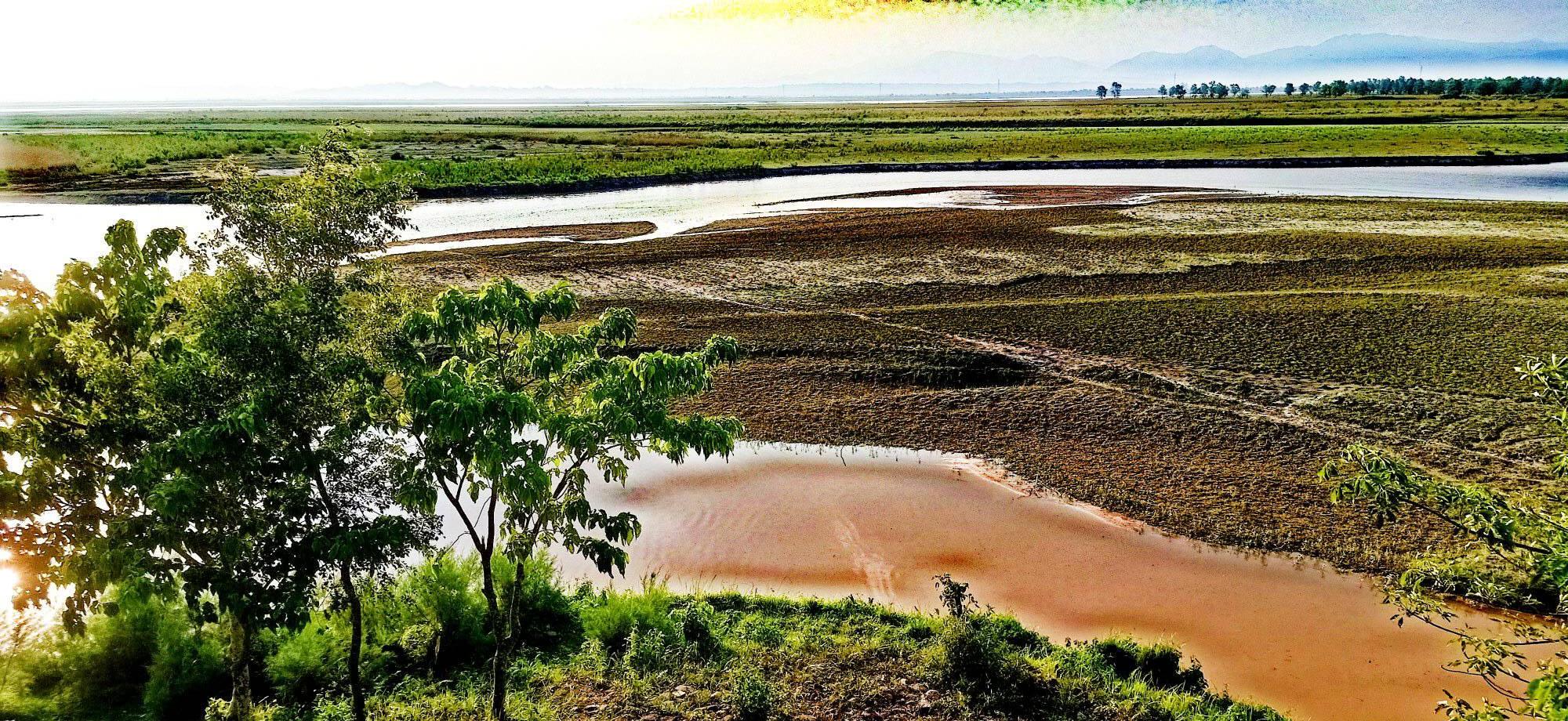 Wetland habitat in Koshi Tappu reserve